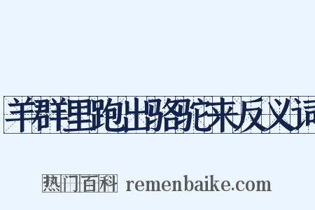 羊群里跑出骆驼来反义词是什么意思的图片